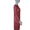 IMG_4142-removebg-preview Red Lace Dress