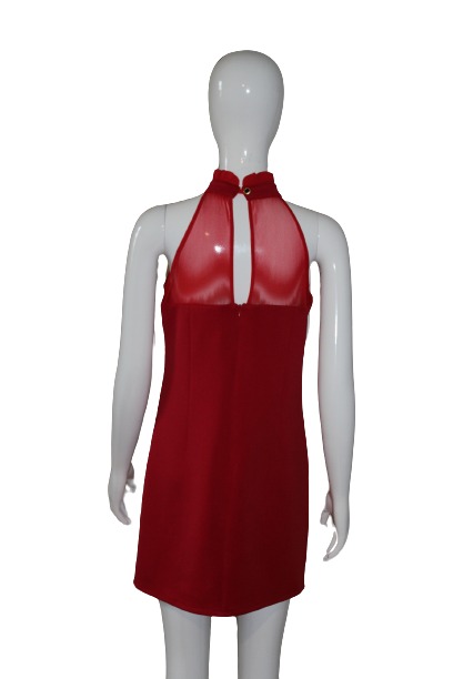 Roses in red tulle dress