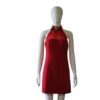 Roses in red tulle dress
