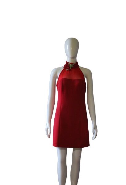 Roses in red tulle dress