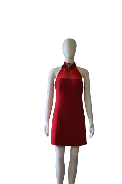 Roses in red tulle dress