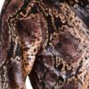 Snake print crop-top