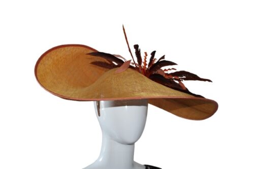 Women wide brim light and dark Brown color hat