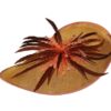 Women wide brim light and dark Brown color hat