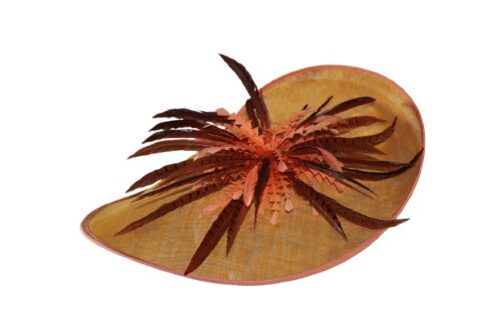 Women wide brim light and dark Brown color hat