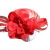 Red-and-white-hat-front1.jpg