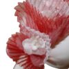 red and white hat