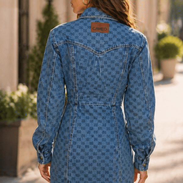 Jeans-patented-dress-front