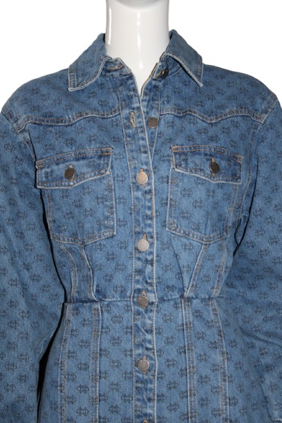 A blue denim shirt dress